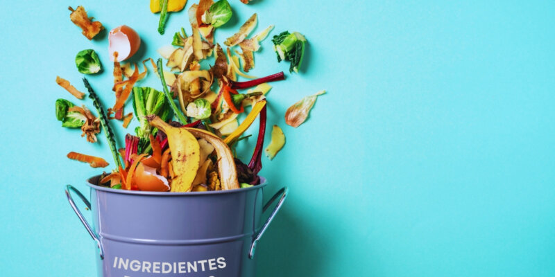 Balde com resíduos orgânicos como casca de banana e legumes, representando o reaproveitamento para obtenção de extratos fenólicos.