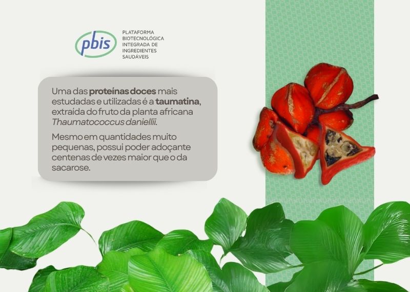 01 interna texto proteínas doces