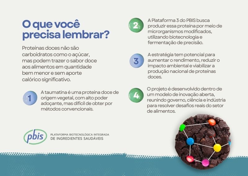02 interna texto proteínas doces