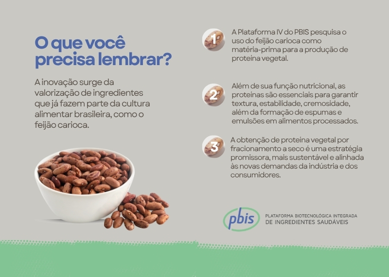 2 interna texto