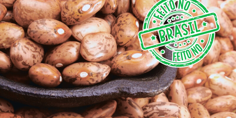 Foto de feijões carioca em close, com uma colher de madeira no centro e um selo verde com a frase "Feito no Brasil" sobreposto à imagem. Texto proteína vegetal