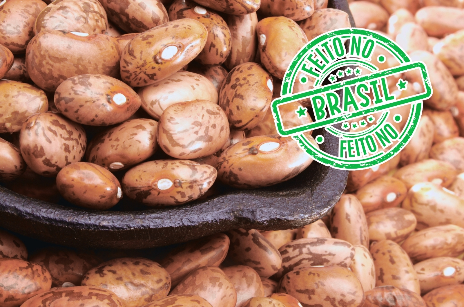 Foto de feijões carioca em close, com uma colher de madeira no centro e um selo verde com a frase "Feito no Brasil" sobreposto à imagem. Texto proteína vegetal
