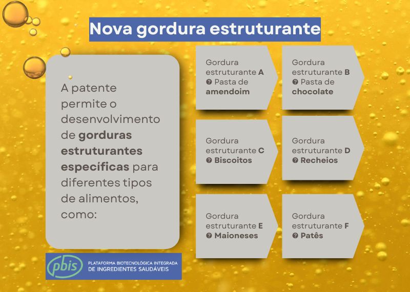 Infográfico explicando a nova patente de gordura saudável estruturante desenvolvida para diferentes tipos de alimentos como pastas, biscoitos e maioneses.