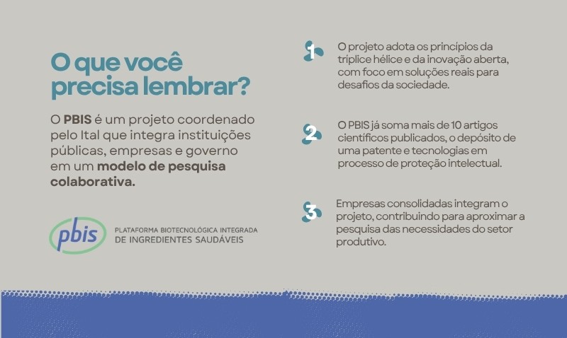 Resumo visual do PBIS explicando que o projeto integra governo, empresas e instituições em um modelo de pesquisa colaborativa voltado a desafios reais da sociedade.